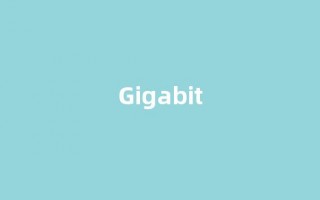 Gigabit中文翻译,Gigabit是什么意思,Gigabit发音、用法及例句(gigabit怎么读)