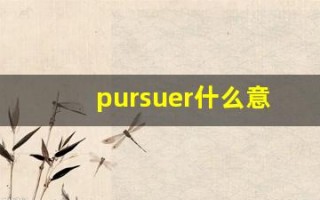 pursuer什么意思,pursuer中文翻译,pursuer用法及例句,pursuer怎么读