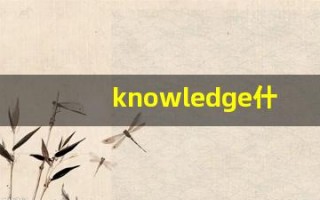 knowledge什么意思,knowledge中文翻译,knowledge用法及例句,knowledge怎么读