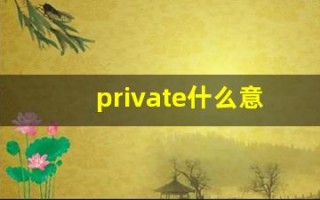 private什么意思,private中文翻译,private用法及例句,private怎么读