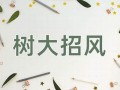树大招风的意思,树大招风的近义词反义词,树大招风造句例句,树大招风出处及解释