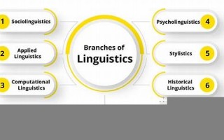 linguistic什么意思,linguistic中文翻译,linguistic用法及例句,linguistic怎么读