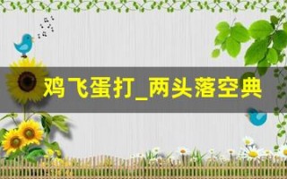 鸡飞蛋打_两头落空典故,鸡飞蛋打_两头落空故事,鸡飞蛋打_两头落空是什么意思