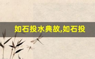 如石投水典故,如石投水故事,如石投水是什么意思