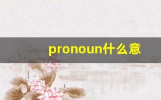 pronoun什么意思,pronoun中文翻译,pronoun用法及例句,pronoun怎么读