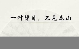 一叶障目，不见泰山的意思,一叶障目，不见泰山的近义词反义词,一叶障目，不见泰山造句例句,一叶障目，不见泰山出处及解释