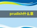 prudish什么意思,prudish中文翻译,prudish用法及例句,prudish怎么读