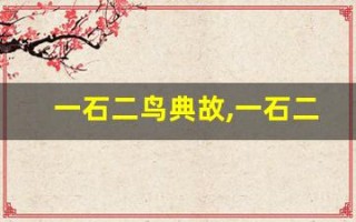 一石二鸟典故,一石二鸟故事,一石二鸟是什么意思