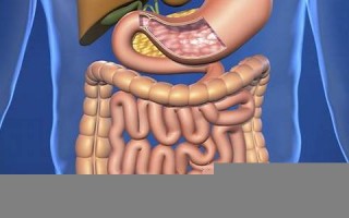 digests中文翻译,digests发音,digests用法及例句,digests是什么意思(digest用英语怎么说)