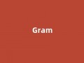Gram中文翻译,Gram是什么意思,Gram发音、用法及例句(gram的中文意思)