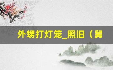 外甥打灯笼_照旧（舅）典故,外甥打灯笼_照旧（舅）故事,外甥打灯笼_照旧（舅）是什么意思-第1张图片-我的生活随想