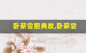 卧薪尝胆典故,卧薪尝胆故事,卧薪尝胆是什么意思-第1张图片-我的生活随想