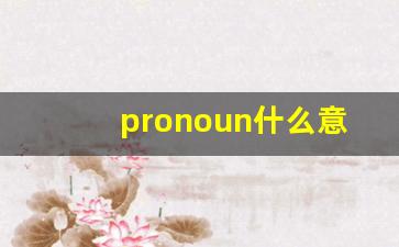pronoun什么意思,pronoun中文翻译,pronoun用法及例句,pronoun怎么读-第1张图片-我的生活随想
