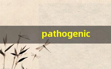 pathogenic什么意思,pathogenic中文翻译,pathogenic用法及例句,pathogenic怎么读-第1张图片-我的生活随想