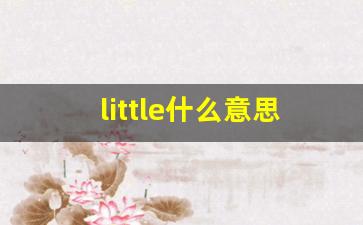 little什么意思,little中文翻译,little用法及例句,little怎么读-第1张图片-我的生活随想