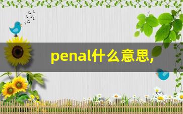 penal什么意思,penal中文翻译,penal用法及例句,penal怎么读-第1张图片-我的生活随想