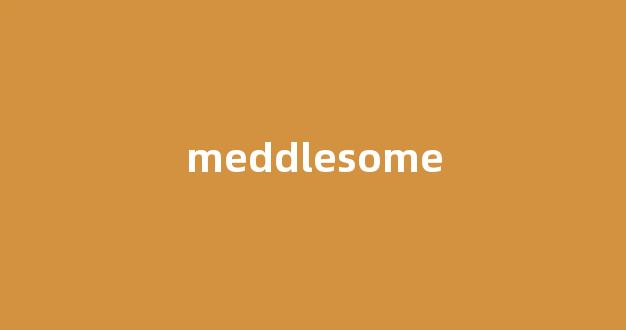 Meddlesome中文翻译,Meddlesome是什么意思,Meddlesome发音、用法及例句-第1张图片-我的生活随想
